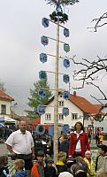 Maibaum 2004