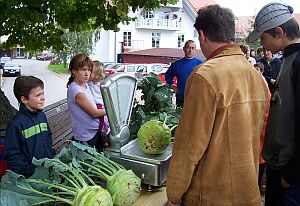 Kohlrabiwettbewerb