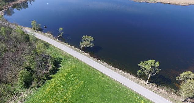 Sachsenrieder Weiher Sraßenrand