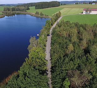 Sachsenrieder Weiher Sraßenrand vorher