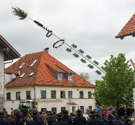 Maibaum