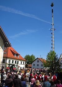 Maibaum