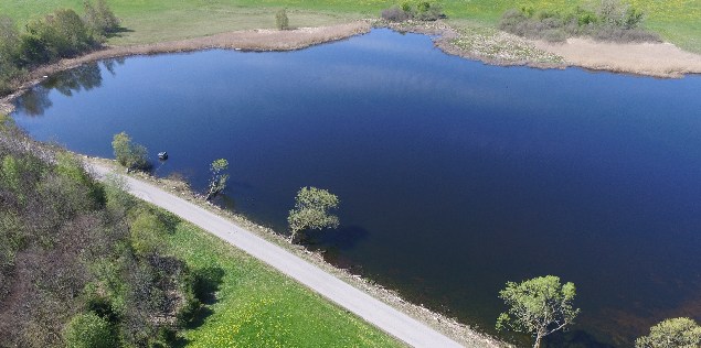 Sachsenrieder Weiher